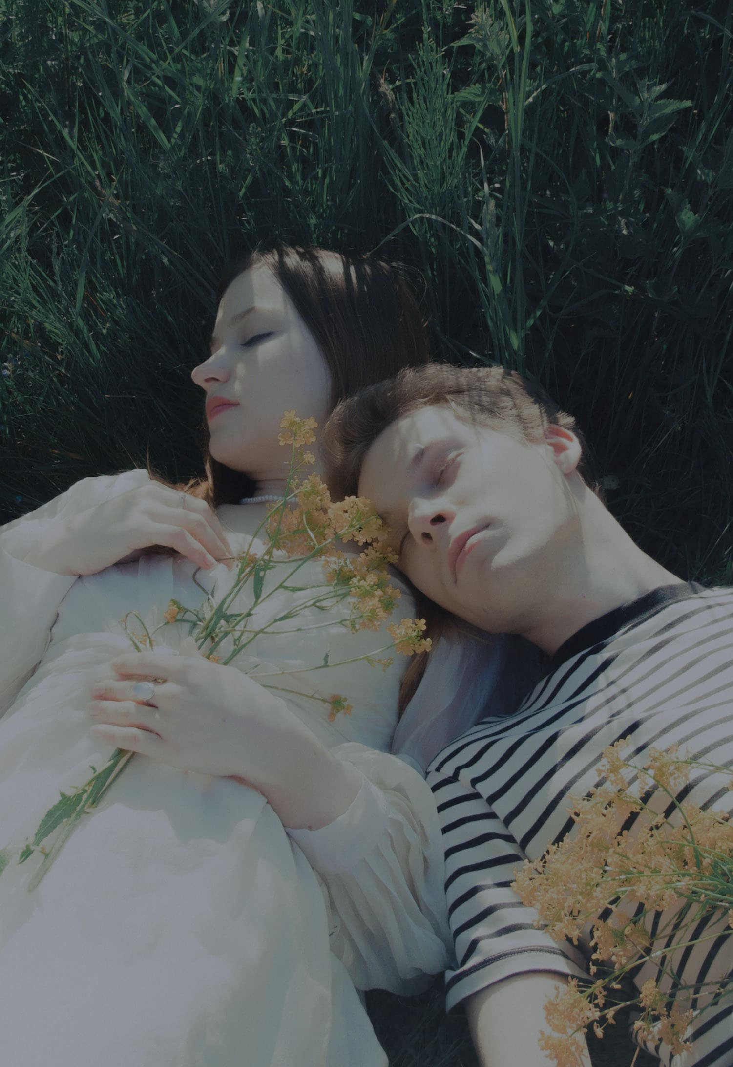 Flamberi, Chilly Holliday