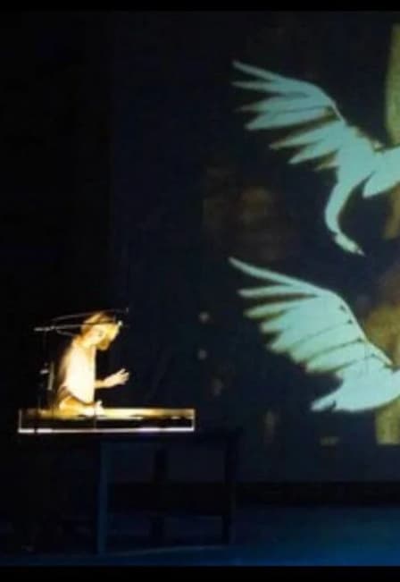 Дикие лебеди