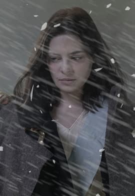 Капитанская дочка