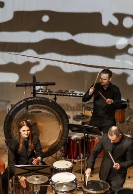 Оркестр ударных инструментов Rhythm Synergy