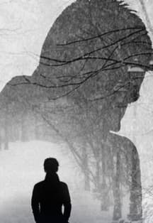 Варшавская мелодия