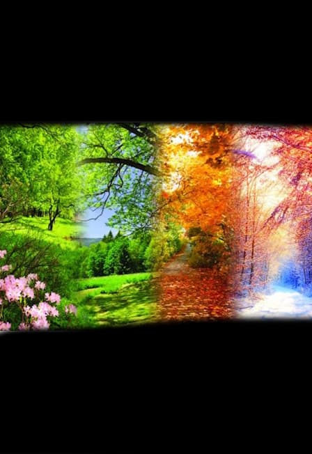 Времена года при свечах. Вивальди. Пьяццолла. Чайковский