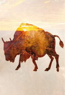 Гранд Каньон