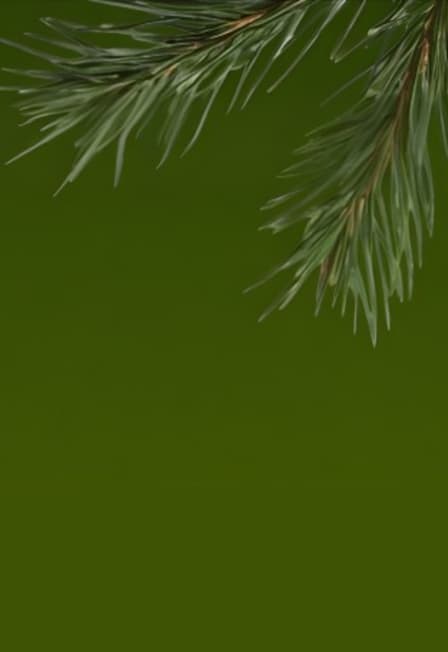 Вне рамок: как обрести опору в себе и искуссстве