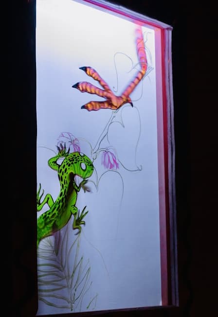 Все, что вы хотели знать о ящерицах, но стеснялись спросить