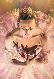 Спящая Красавица