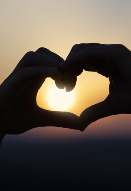 Солнечный орган: от Баха до The Beatles