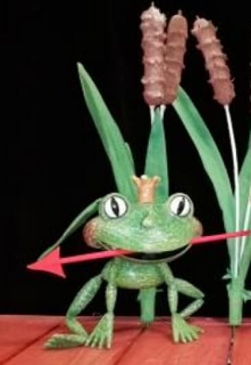 Царевна-лягушка (МОТК)