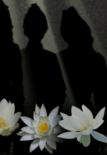 А зори здесь тихие...