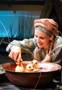 Гадкий утенок