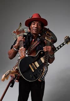 Ladell Mclin (США): «Сhicago Blues Experience»