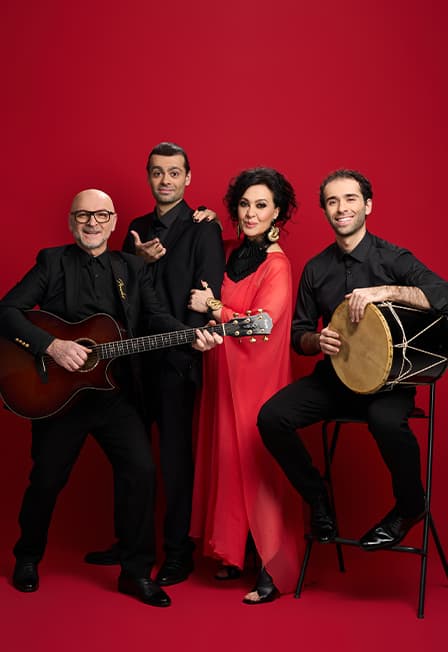 Семья Боджгуа