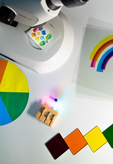 Природа цвета