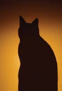 Мастер и Маргарита