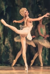 Балет "Дон Кихот"