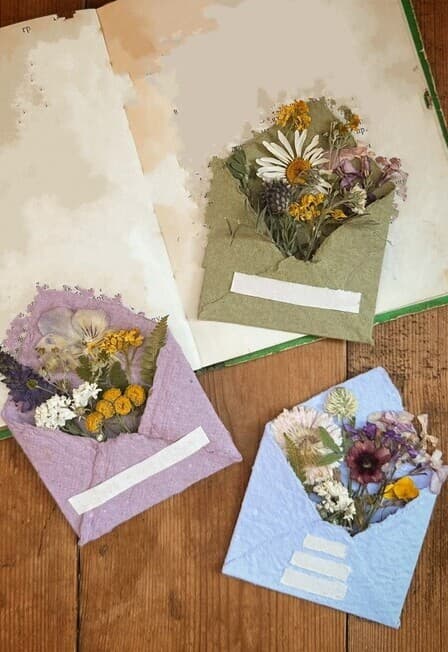 Занятие «Северный посткроссинг: письмо в Арктику»