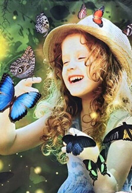 Выставка живых тропических бабочек