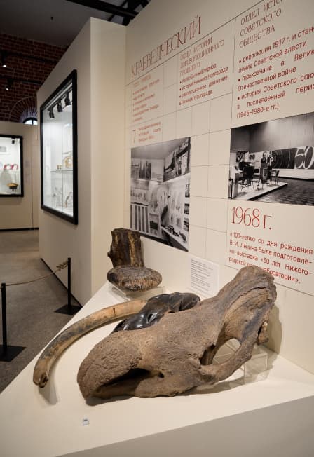 Путешествие в музей: Интерактивная программа