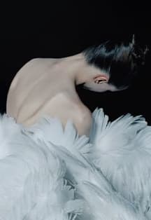 Лебединое озеро