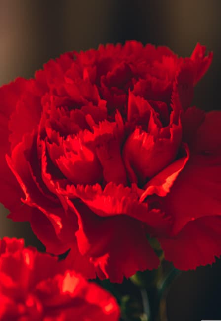 Цветок памяти: Мастер-класс