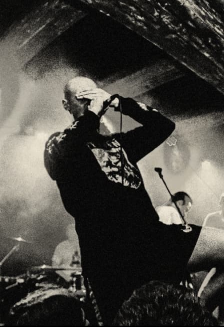 Pale Hands, верните рекса, old guard is dead