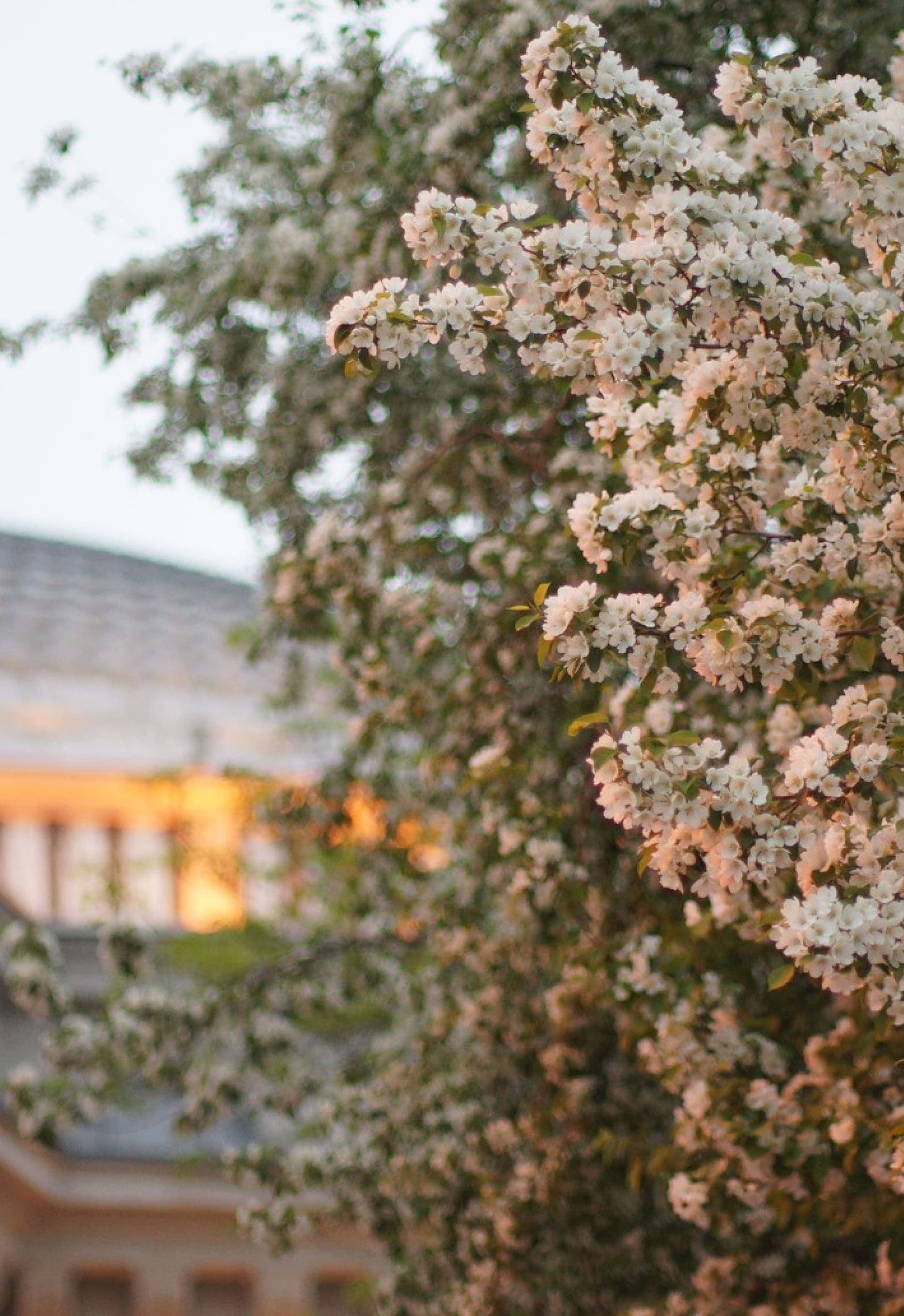 Славный май