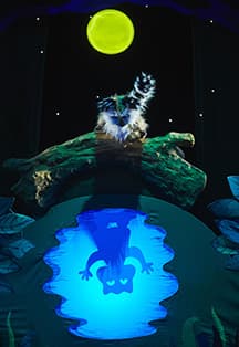 Крошка Енот