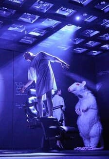 Цветы для Элджернона