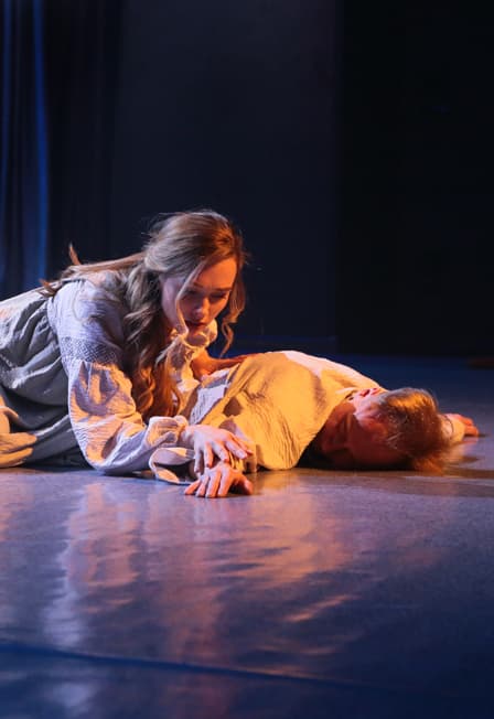 Баллада о крыльях