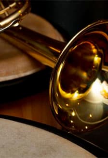 Живые струны родной земли