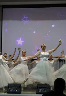 Дамы и господа. Программа