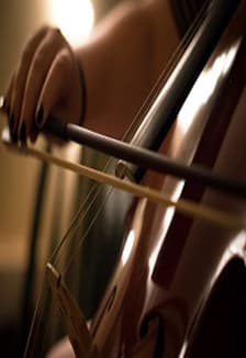 Голос виолончели. Концерт