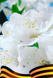 То, что деды отстояли, в нашем творчестве воспето. Концерт