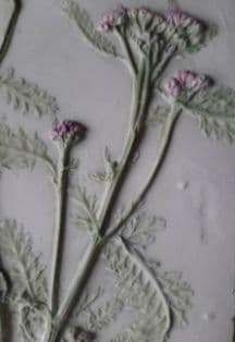 Ботанический барельеф. Мастер-класс