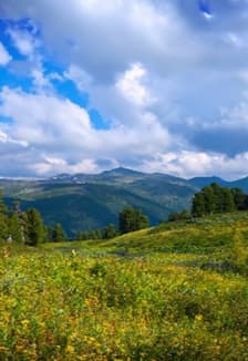 Мой край родной – моя история живая. Интеллектуальная программа