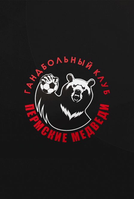OLIMPBET Суперлига.Чемпионат России по гандболу среди мужских команд Команды: Пермские медведи х Каустик (Волгоград)