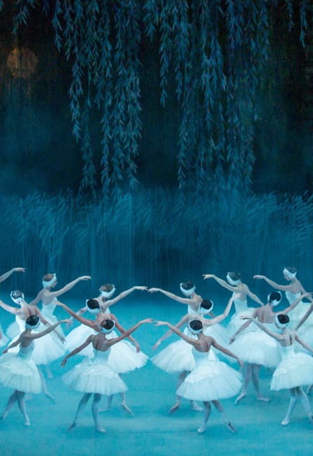 Лебединое озеро