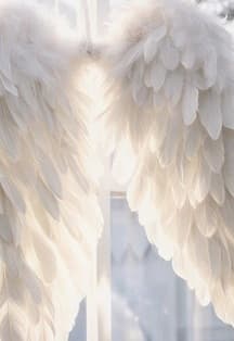 Вышел ангел из тумана