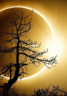 Проделки Луны