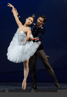 Лебединое озеро