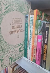 Произведения о Земле чтение и обсуждение. Литературный час