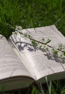 Летние романы. Литературный вечер