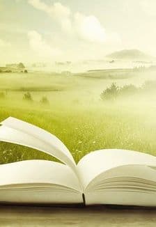 Лучший краевед: Молодёжный турнир