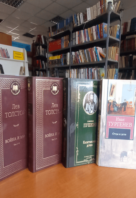 Через книгу к миру и согласию. Литературная гостиная