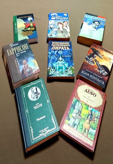 Сокровища книжных полок. Литературный час