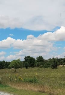 Патриотический час. Российская деревня