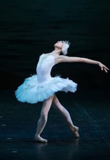 Лебединое озеро