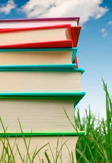 С книгой жить - век не тужить. Интеллектуальная игра