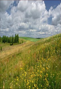 Родной свой край люби и знай