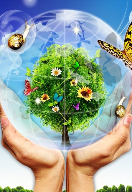 Это Земля - твоя и моя: Игра-викторина